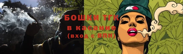 мдпв Семилуки