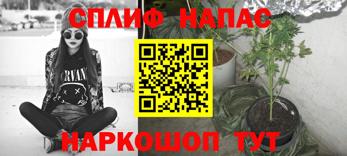 Бошки марихуана индика  Вход с VPN  Каннабис MAZAR  Конопля THC 21%  Бошки Шишки гибрид  Карасук 